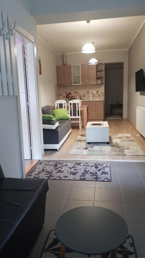 Apartmani V&F Vrnjačka Banja Exteriör bild