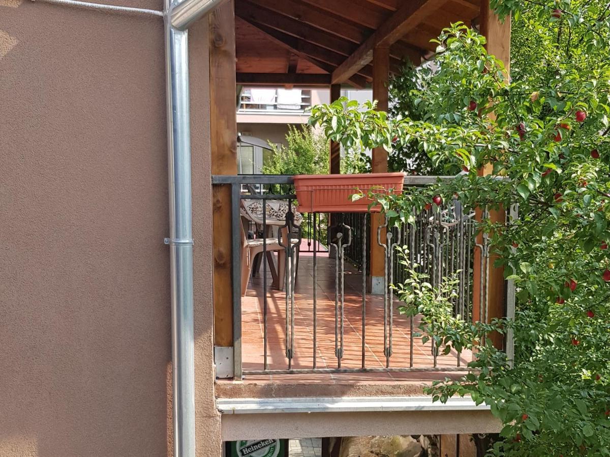 Apartmani V&F Vrnjačka Banja Exteriör bild