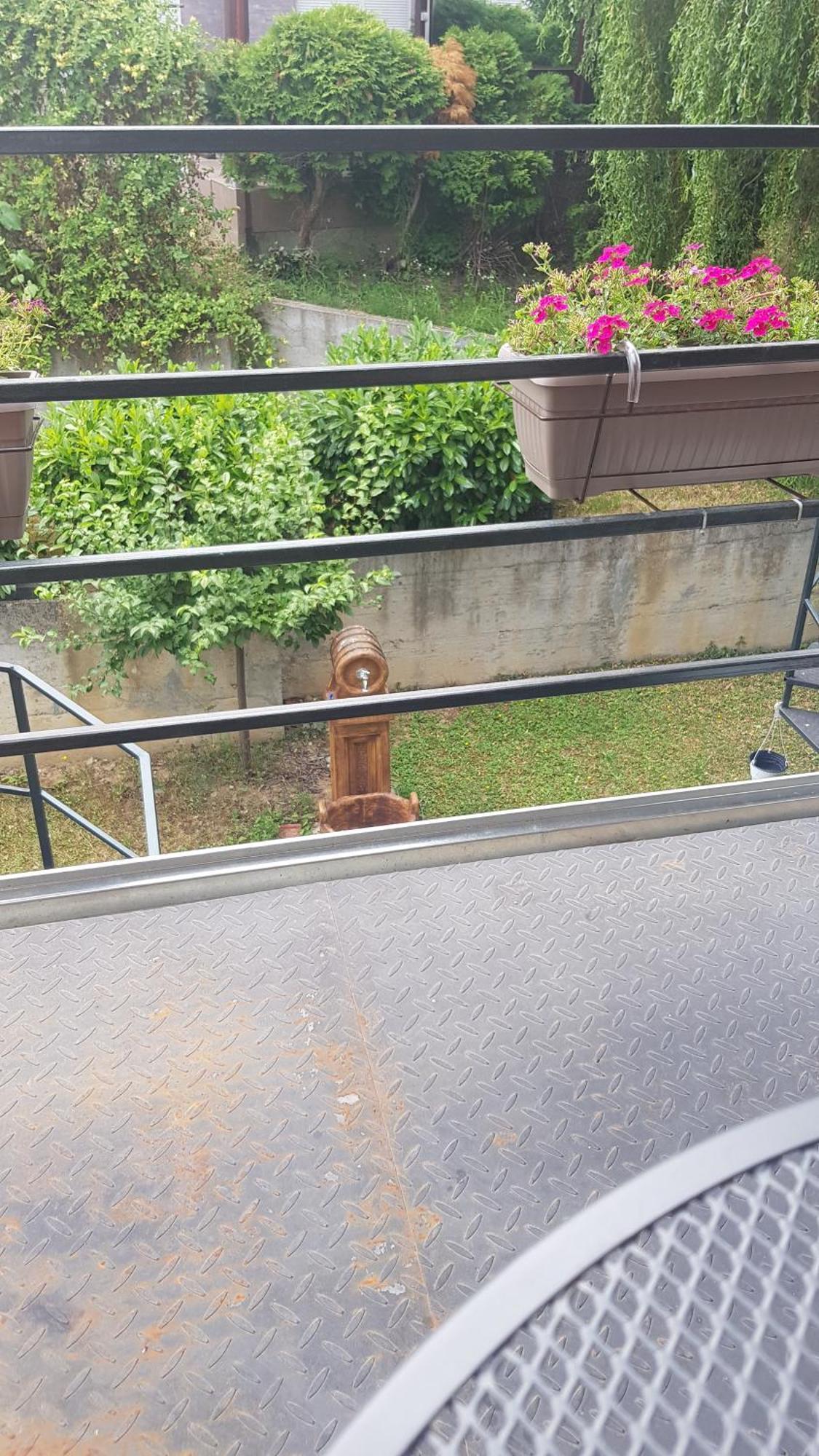 Apartmani V&F Vrnjačka Banja Rum bild