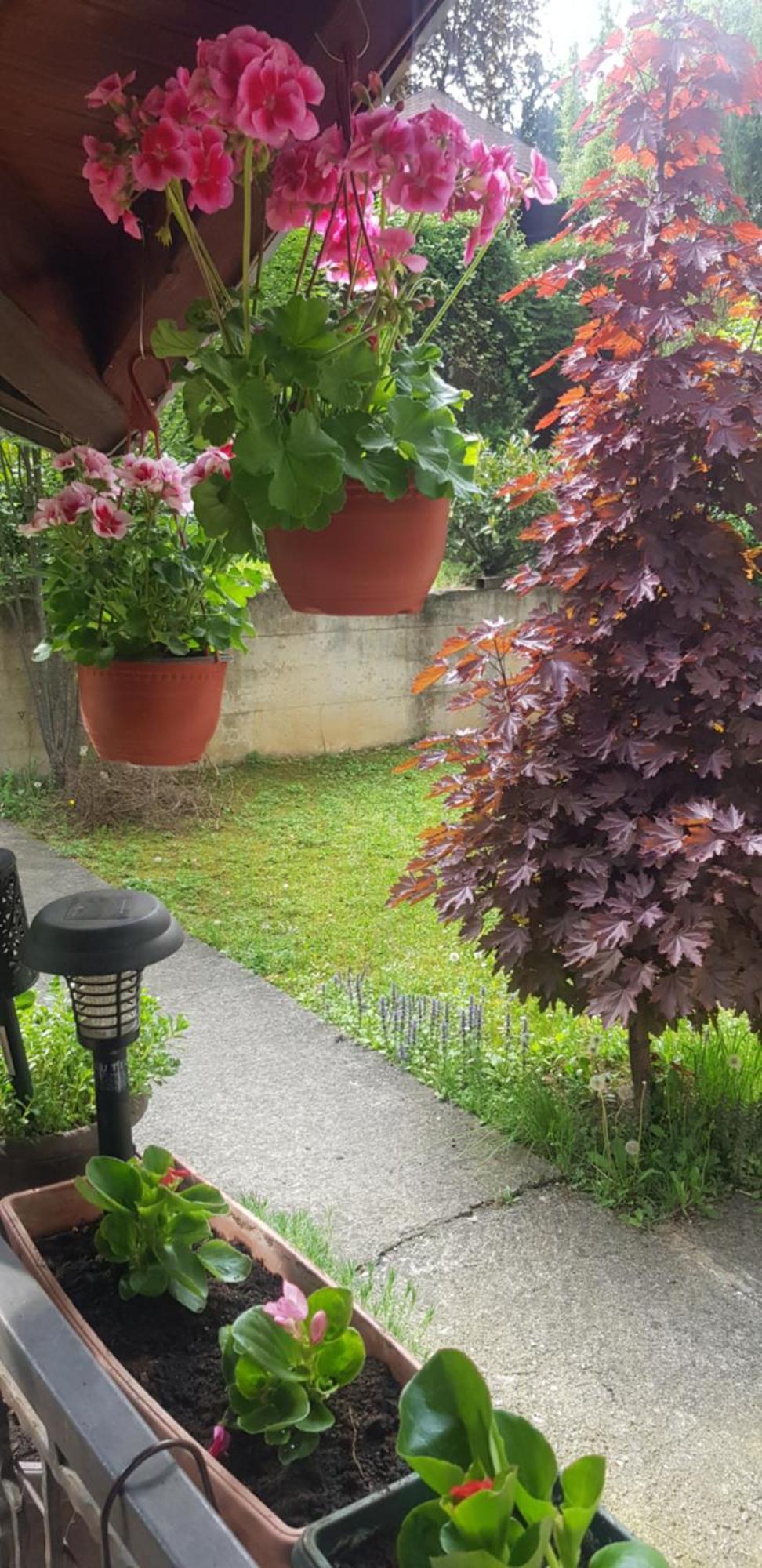 Apartmani V&F Vrnjačka Banja Exteriör bild