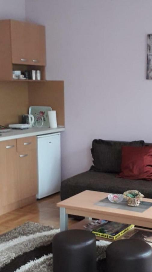 Apartmani V&F Vrnjačka Banja Exteriör bild