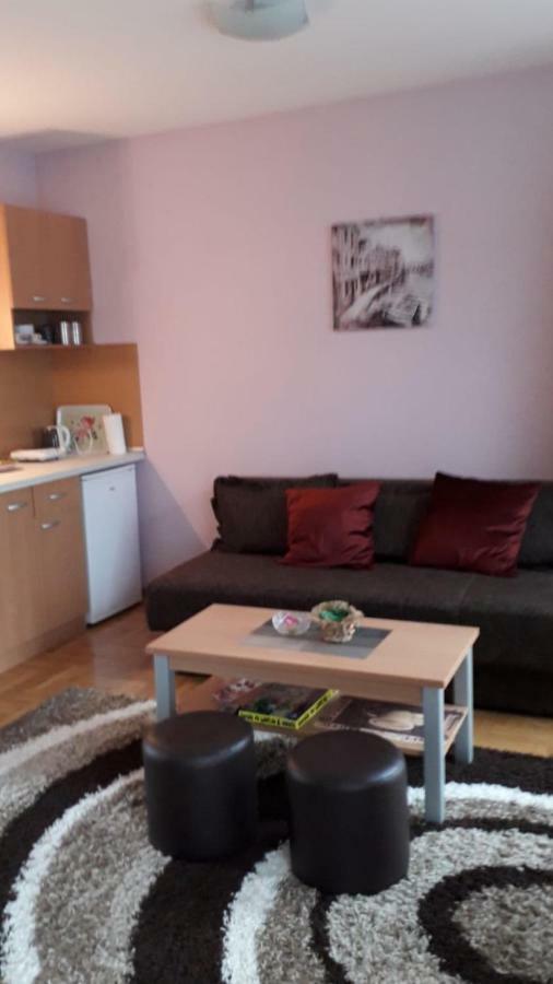 Apartmani V&F Vrnjačka Banja Exteriör bild